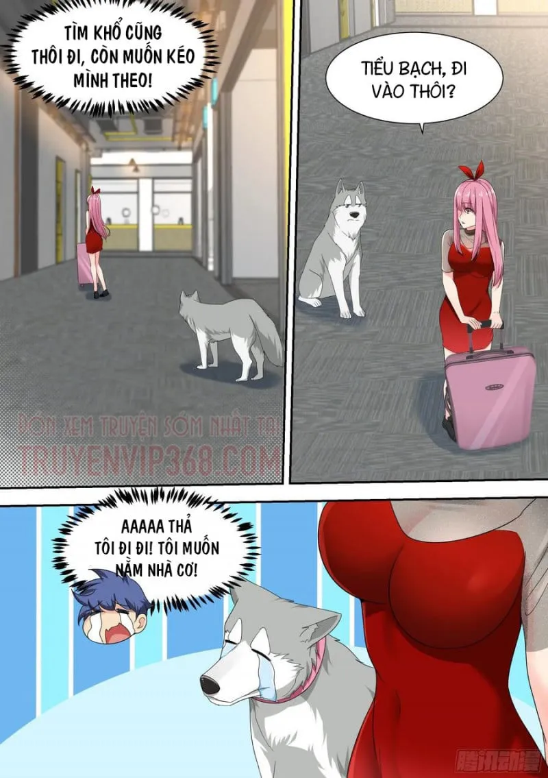 Husky Toàn Năng Của Nữ Thần Chapter 16 - Trang 5
