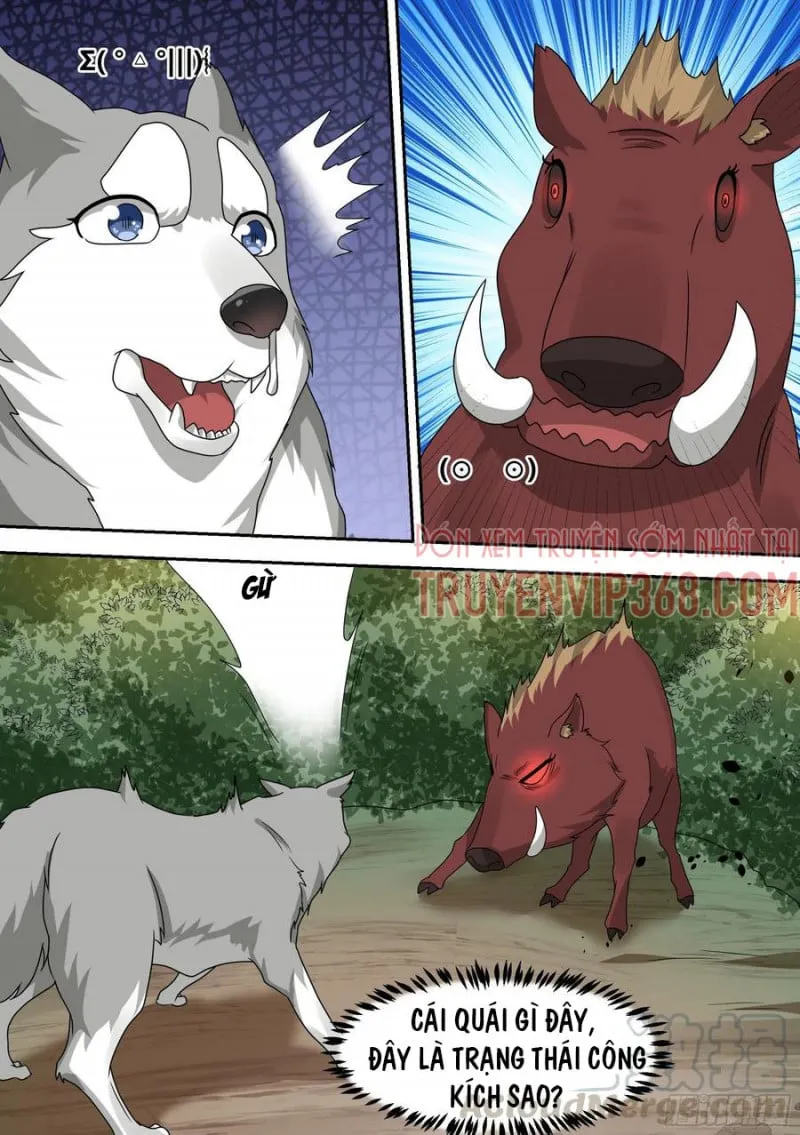 Husky Toàn Năng Của Nữ Thần Chapter 17 - Trang 10