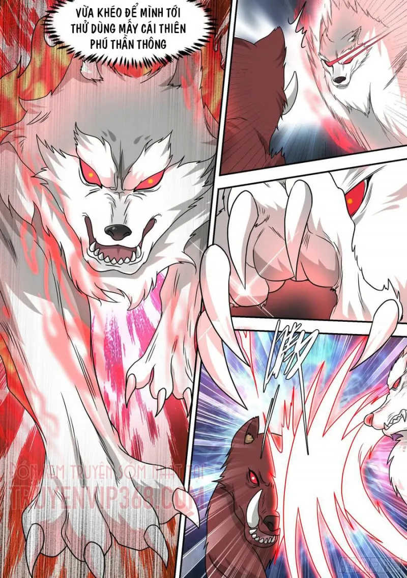 Husky Toàn Năng Của Nữ Thần Chapter 17 - Trang 11