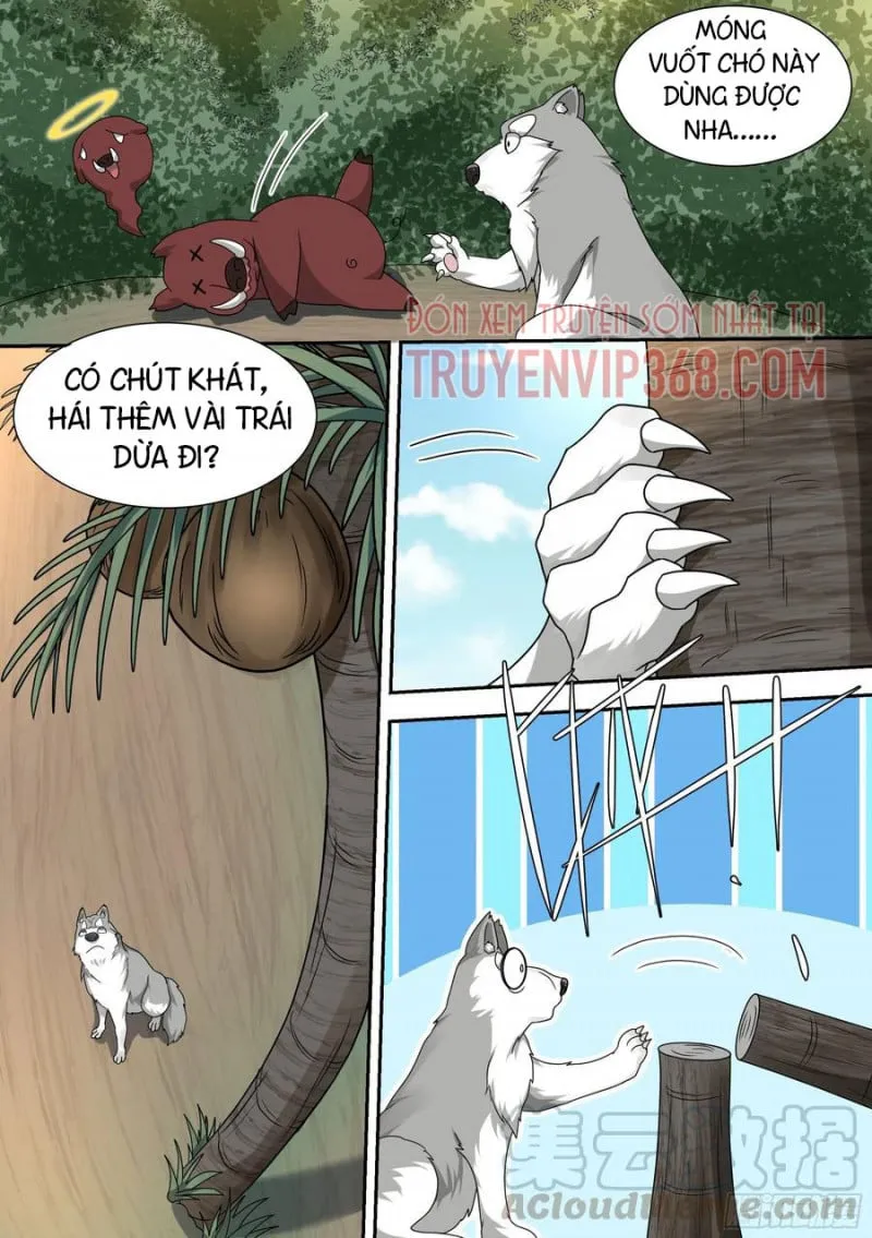 Husky Toàn Năng Của Nữ Thần Chapter 17 - Trang 12
