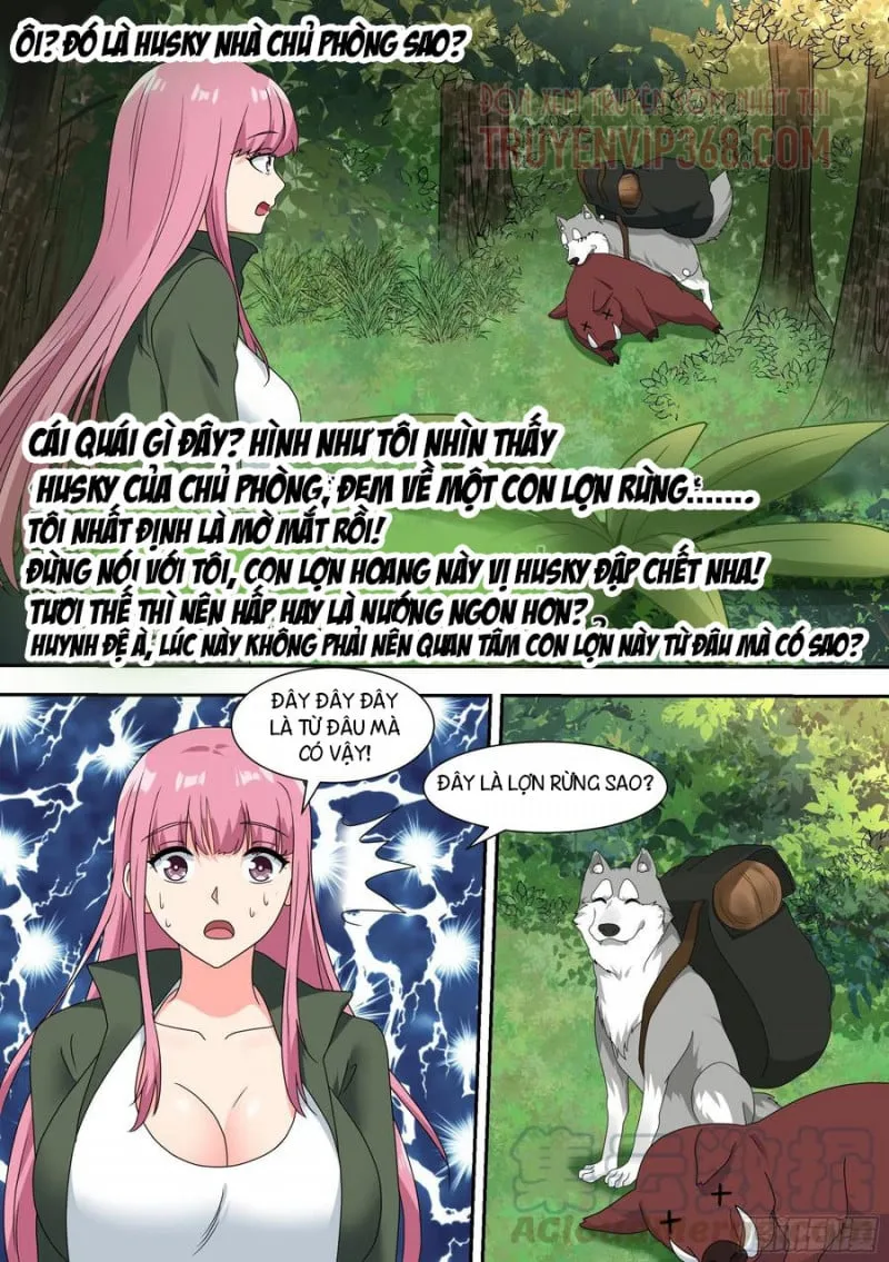 Husky Toàn Năng Của Nữ Thần Chapter 17 - Trang 14