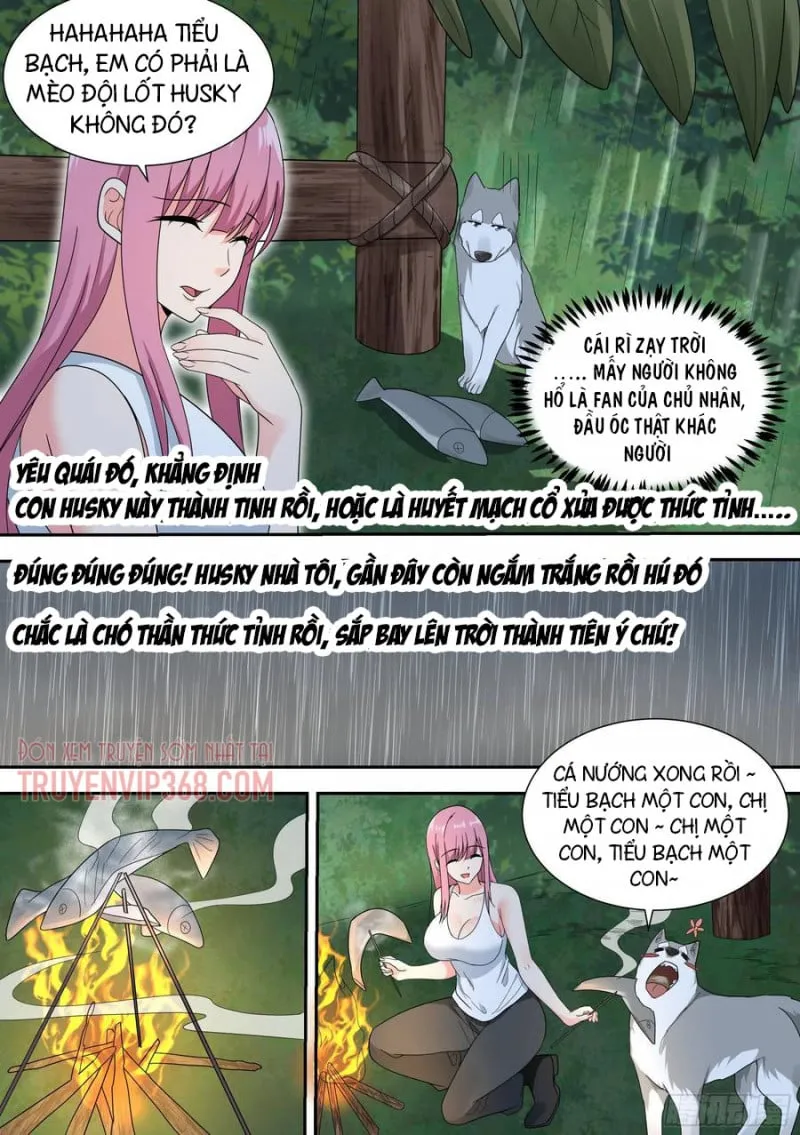 Husky Toàn Năng Của Nữ Thần Chapter 18 - Trang 15
