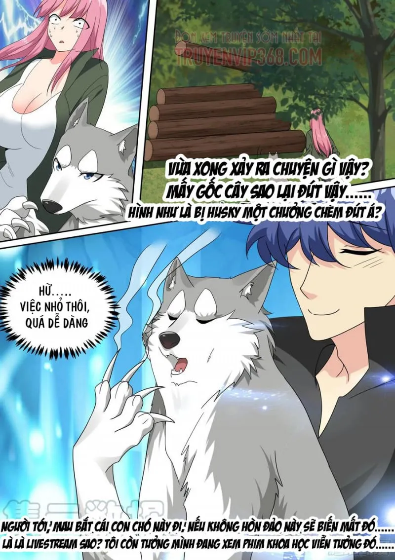 Husky Toàn Năng Của Nữ Thần Chapter 18 - Trang 8