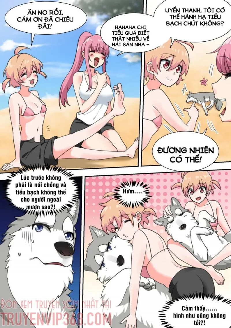 Husky Toàn Năng Của Nữ Thần Chapter 19 - Trang 10