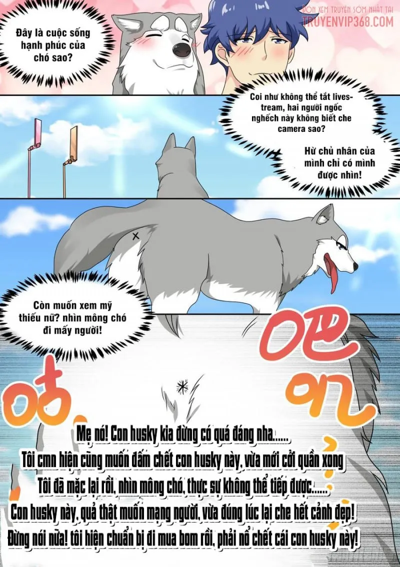 Husky Toàn Năng Của Nữ Thần Chapter 19 - Trang 14