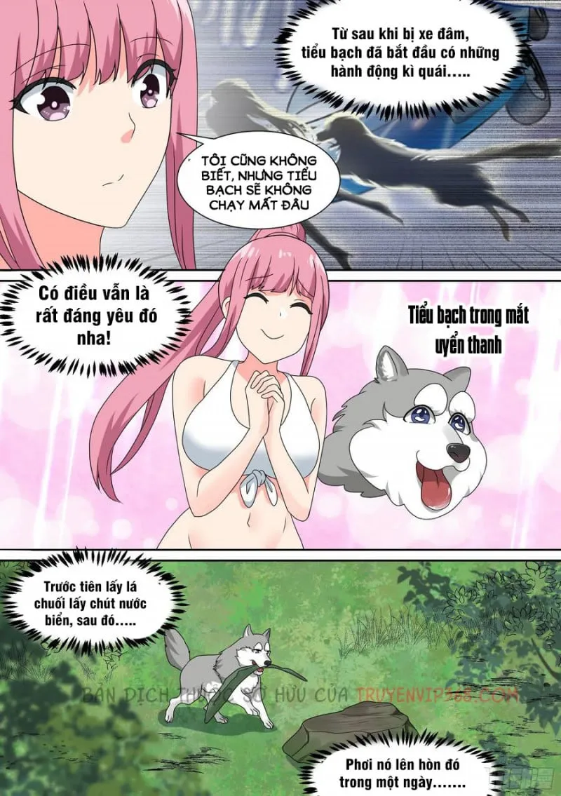 Husky Toàn Năng Của Nữ Thần Chapter 19 - Trang 16