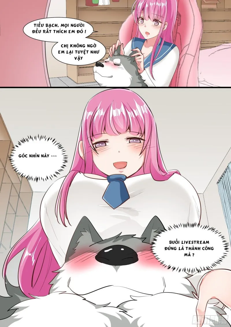 Husky Toàn Năng Của Nữ Thần Chapter 2 - Trang 10