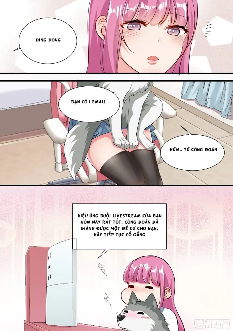 Husky Toàn Năng Của Nữ Thần Chapter 2 - Trang 11