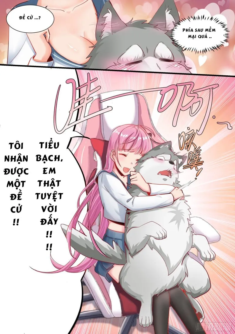 Husky Toàn Năng Của Nữ Thần Chapter 2 - Trang 12