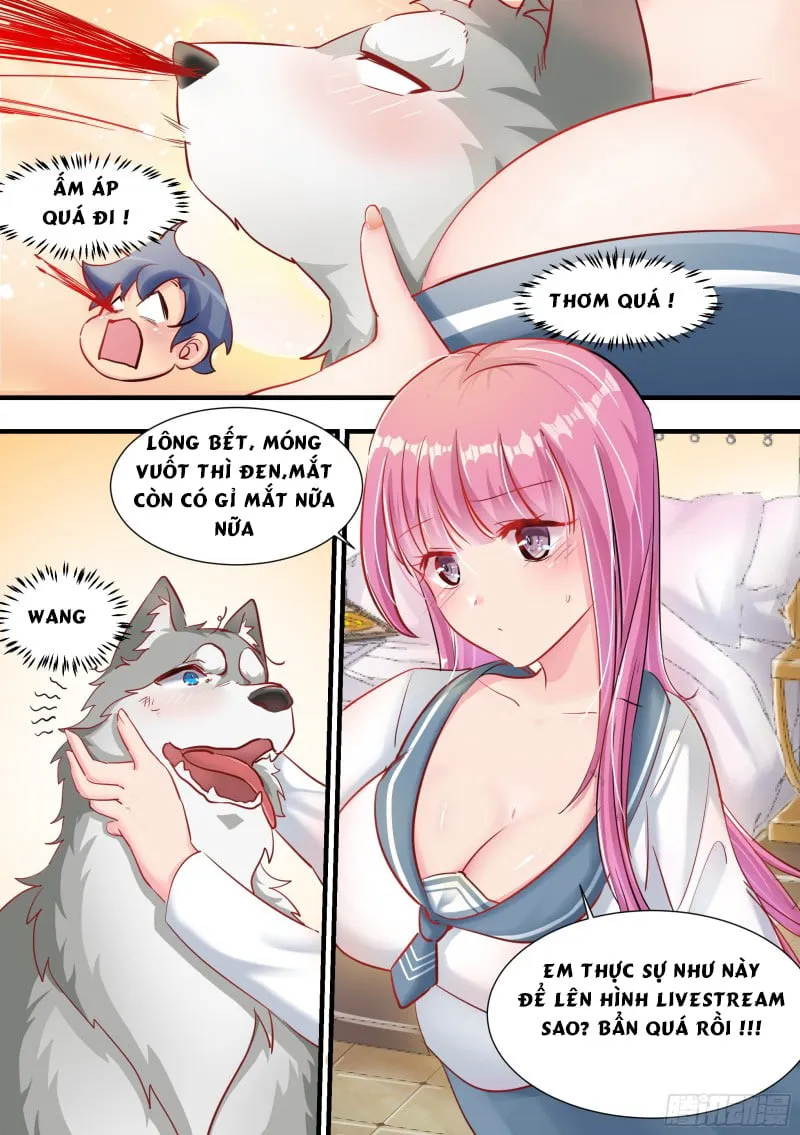 Husky Toàn Năng Của Nữ Thần Chapter 2 - Trang 13