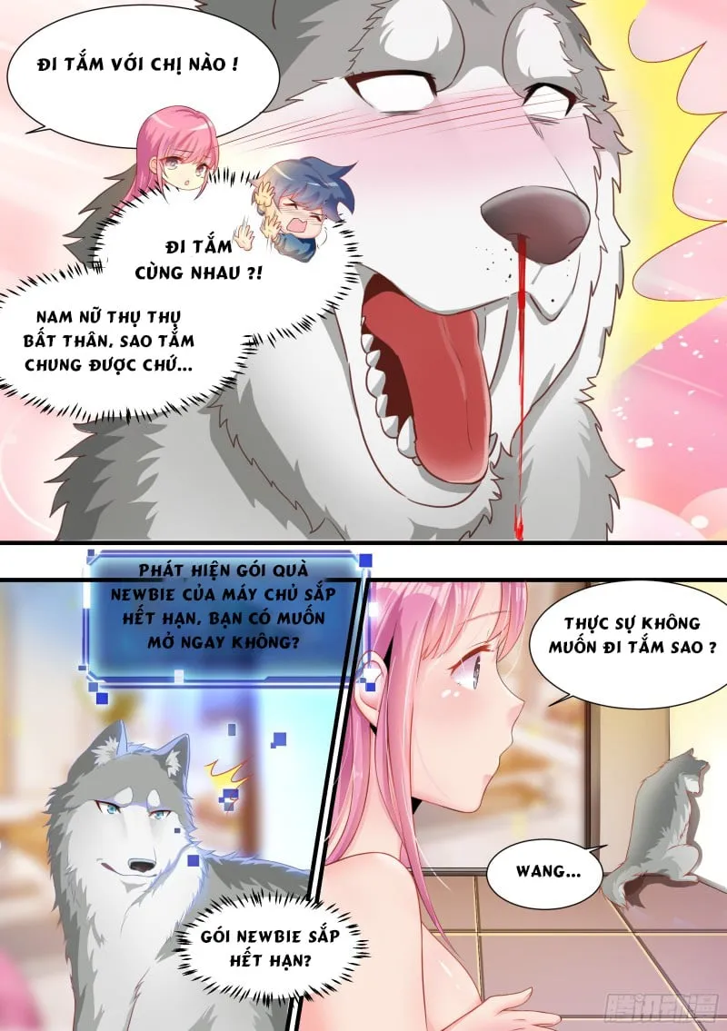 Husky Toàn Năng Của Nữ Thần Chapter 2 - Trang 15