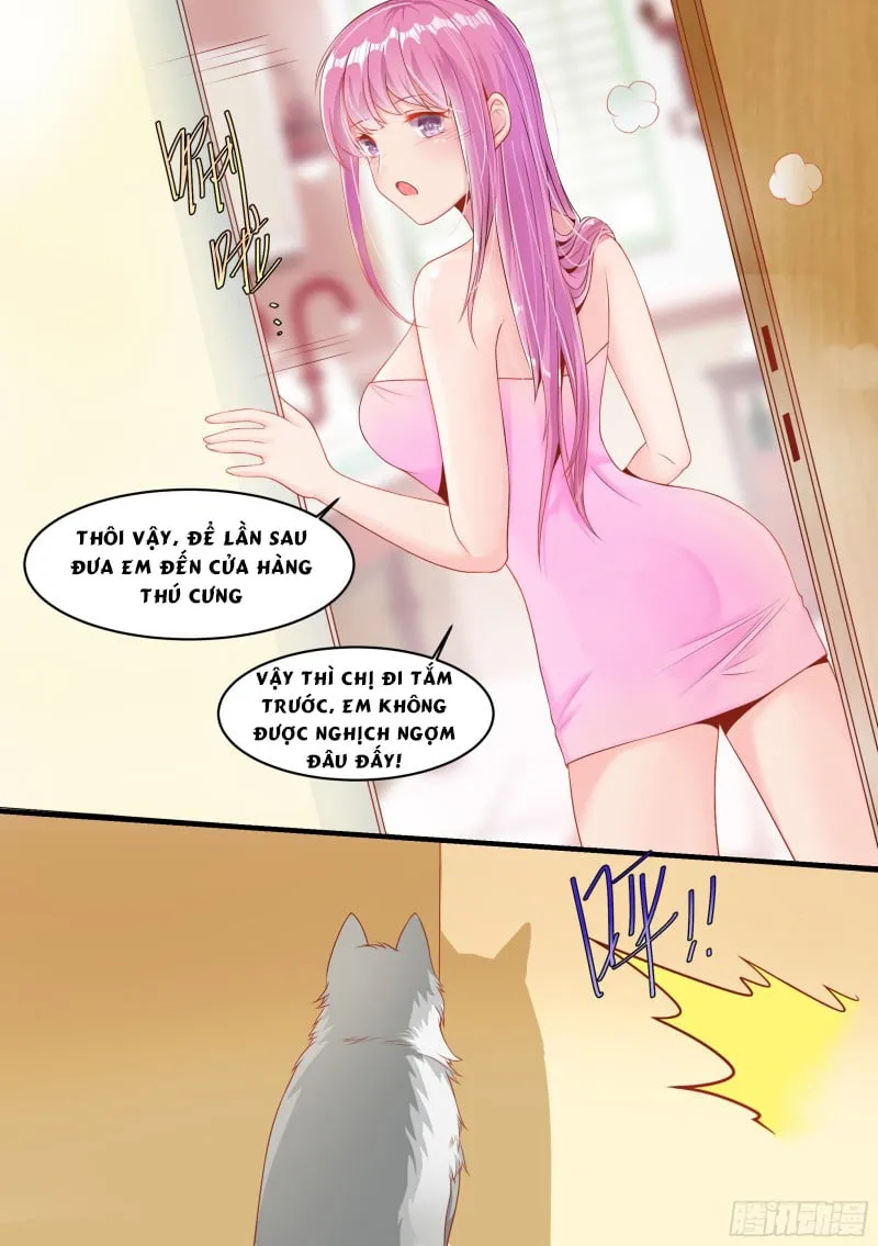 Husky Toàn Năng Của Nữ Thần Chapter 2 - Trang 16