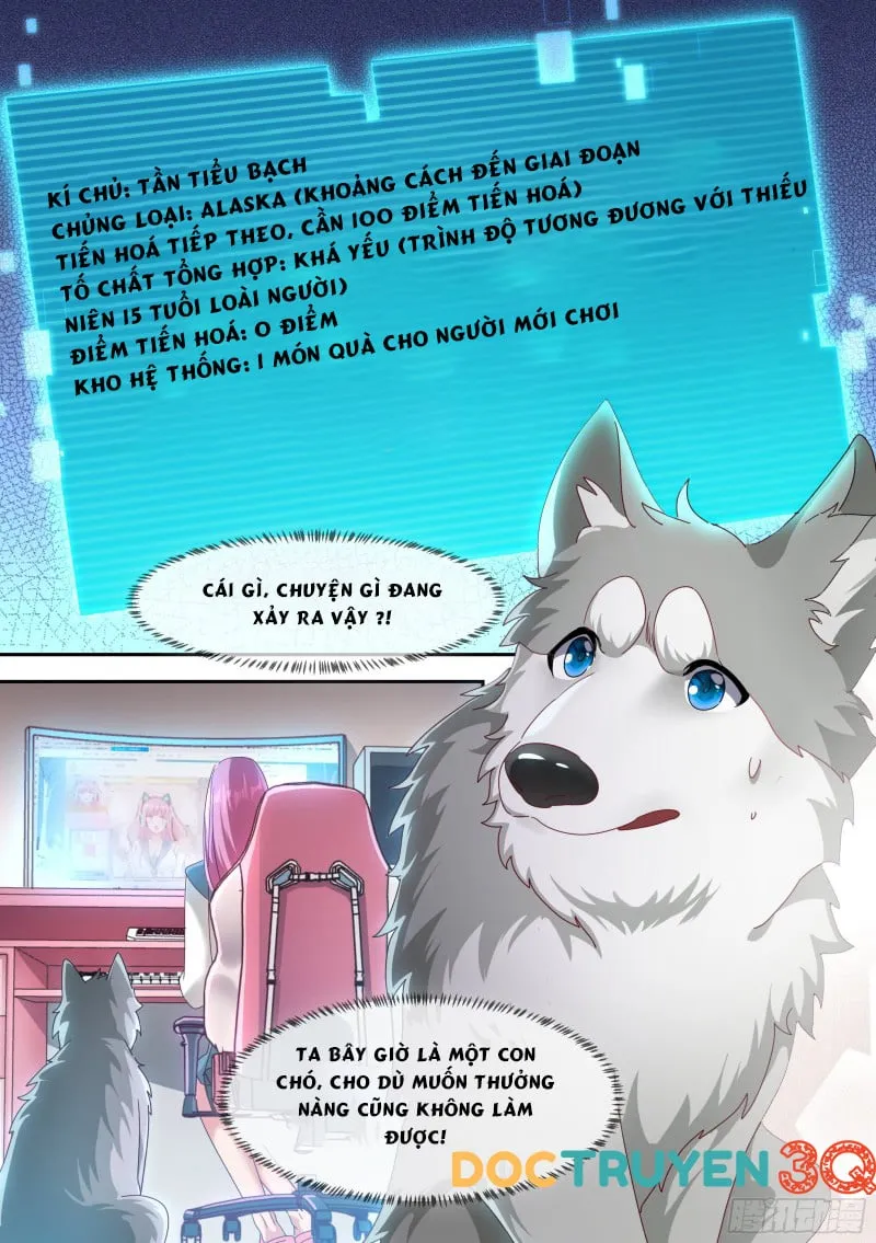 Husky Toàn Năng Của Nữ Thần Chapter 2 - Trang 3