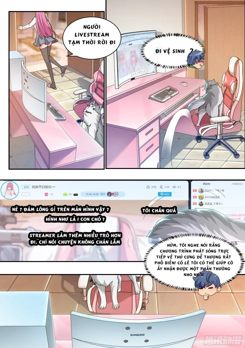 Husky Toàn Năng Của Nữ Thần Chapter 2 - Trang 4