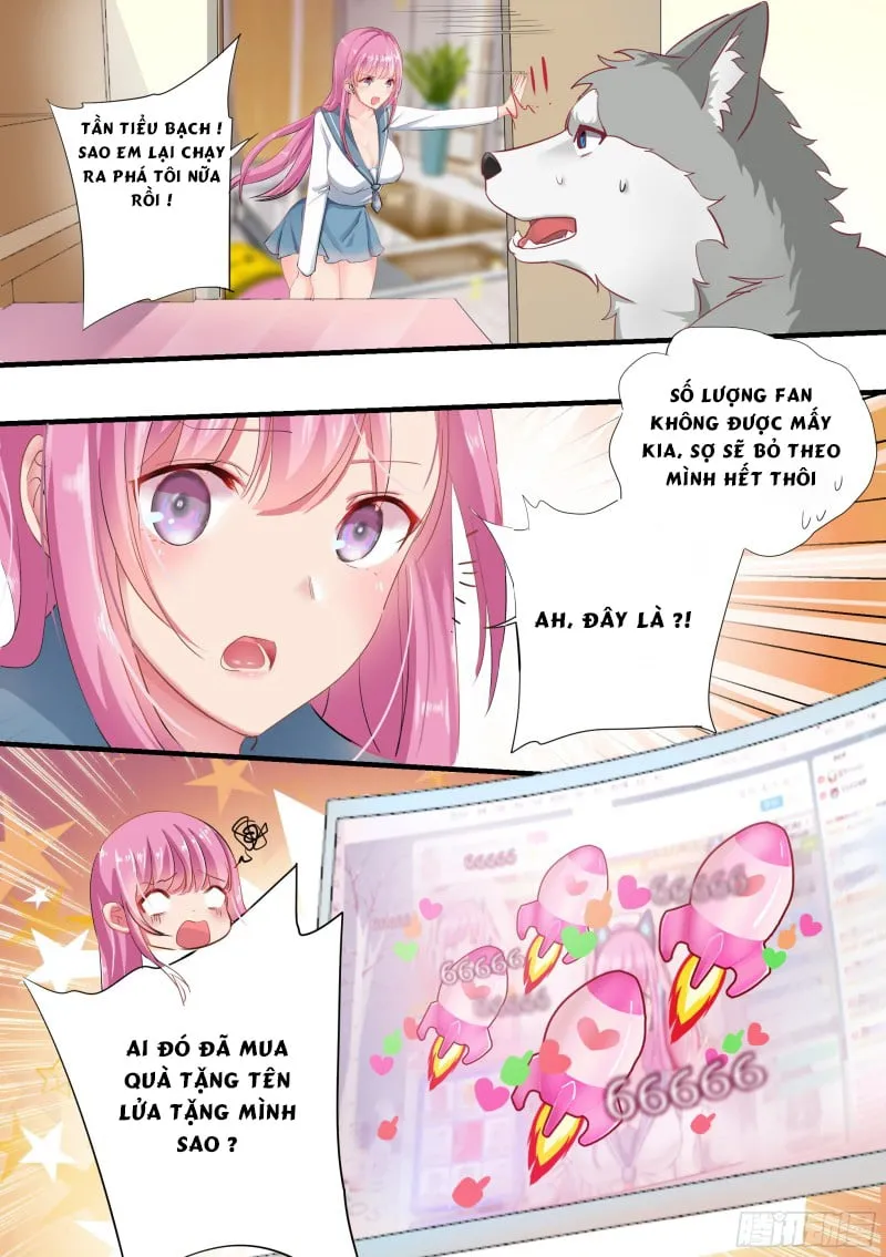 Husky Toàn Năng Của Nữ Thần Chapter 2 - Trang 7