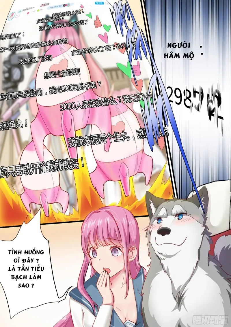 Husky Toàn Năng Của Nữ Thần Chapter 2 - Trang 8