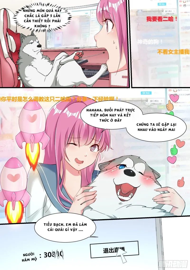Husky Toàn Năng Của Nữ Thần Chapter 2 - Trang 9