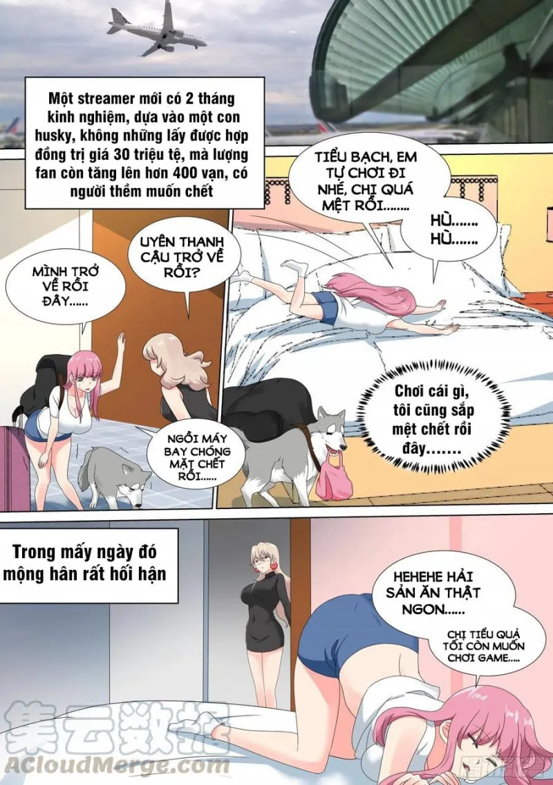 Husky Toàn Năng Của Nữ Thần Chapter 20 - Trang 13