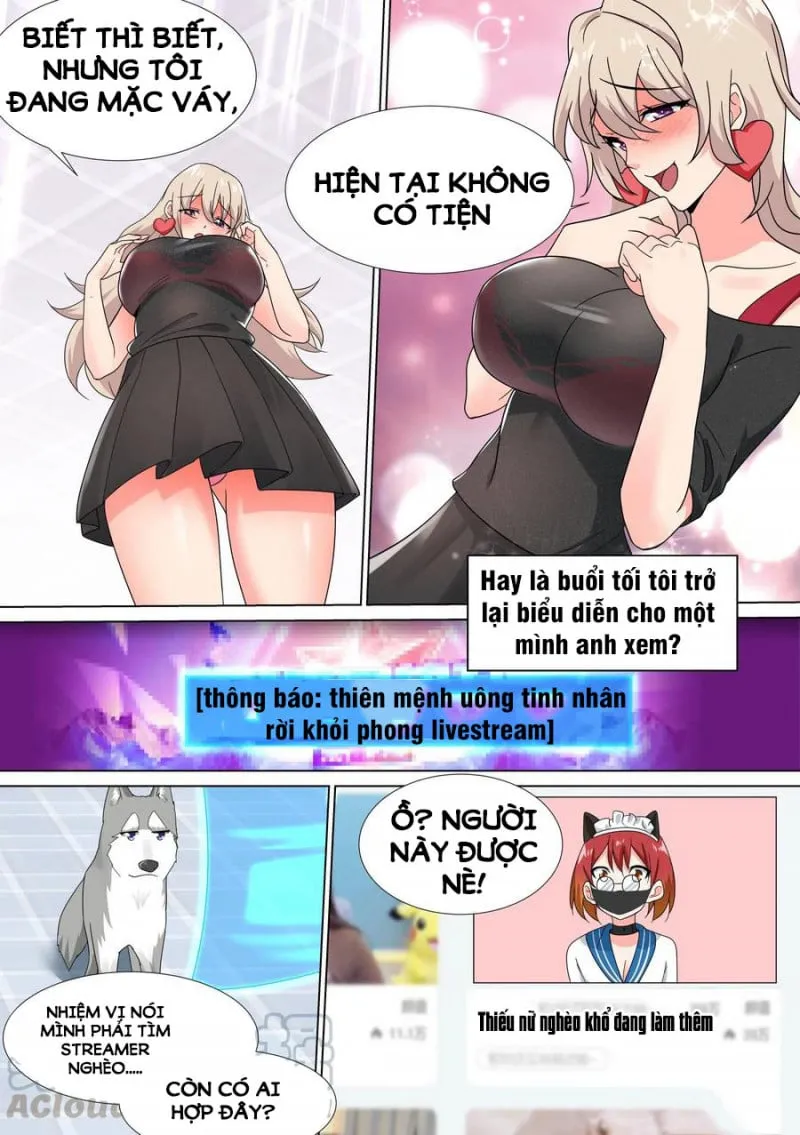 Husky Toàn Năng Của Nữ Thần Chapter 21 - Trang 11