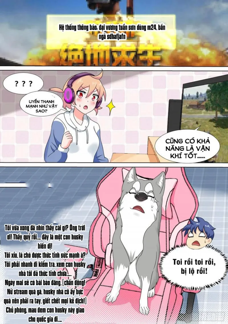 Husky Toàn Năng Của Nữ Thần Chapter 21 - Trang 7