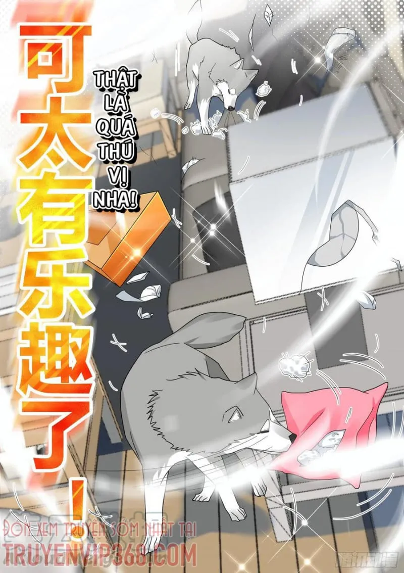 Husky Toàn Năng Của Nữ Thần Chapter 22 - Trang 10