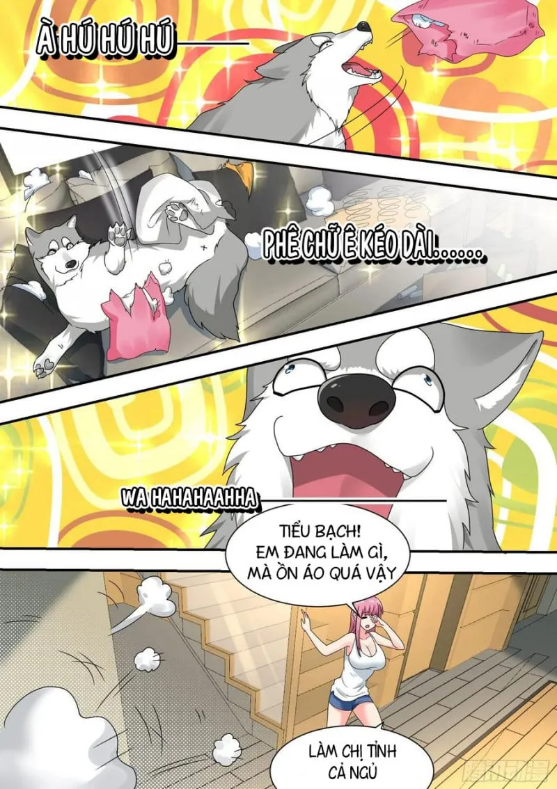 Husky Toàn Năng Của Nữ Thần Chapter 22 - Trang 11