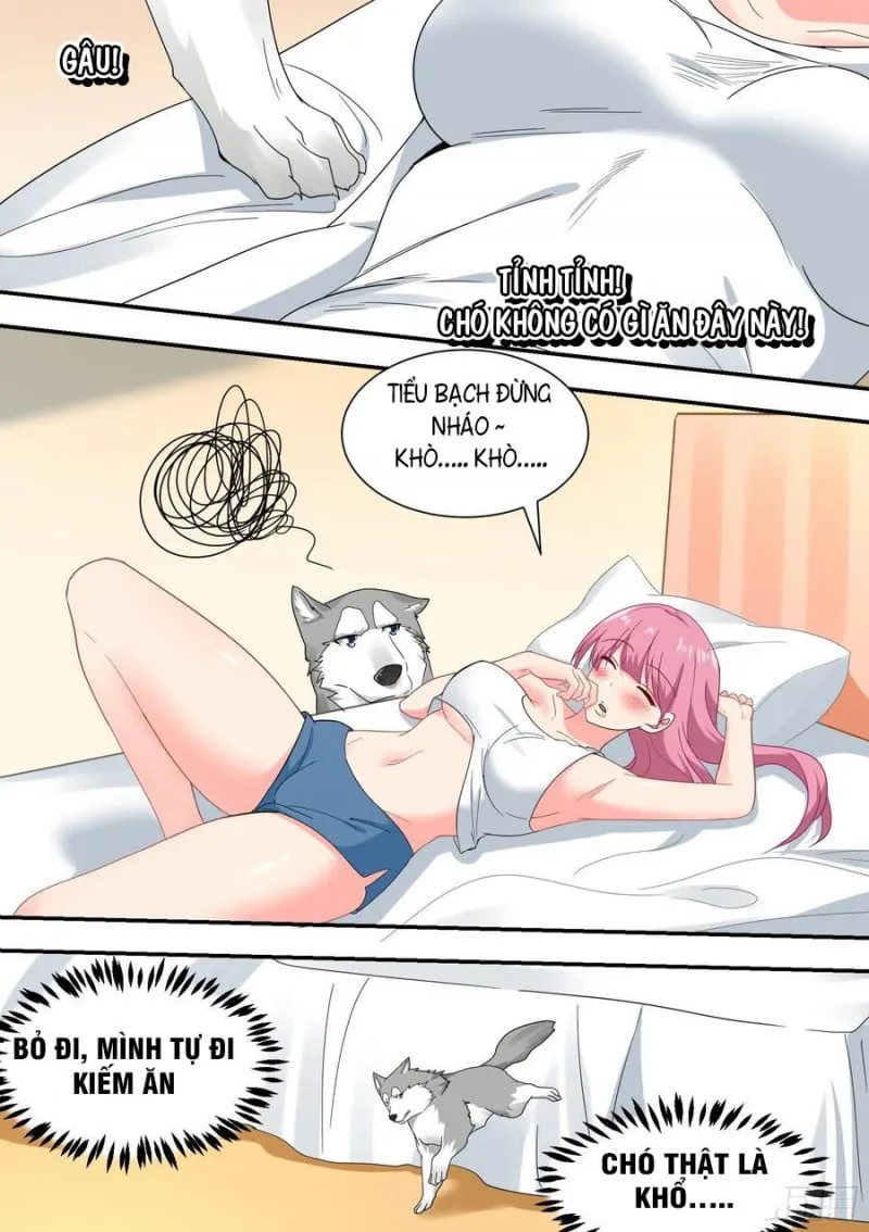 Husky Toàn Năng Của Nữ Thần Chapter 22 - Trang 7