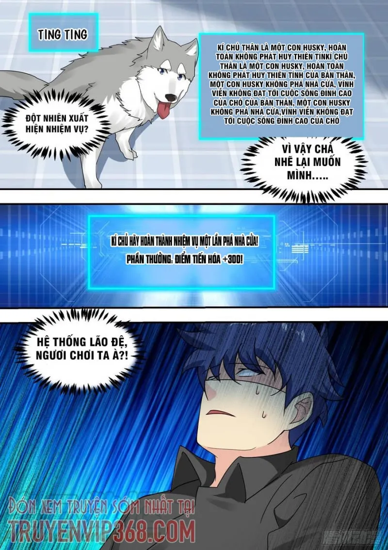 Husky Toàn Năng Của Nữ Thần Chapter 22 - Trang 8