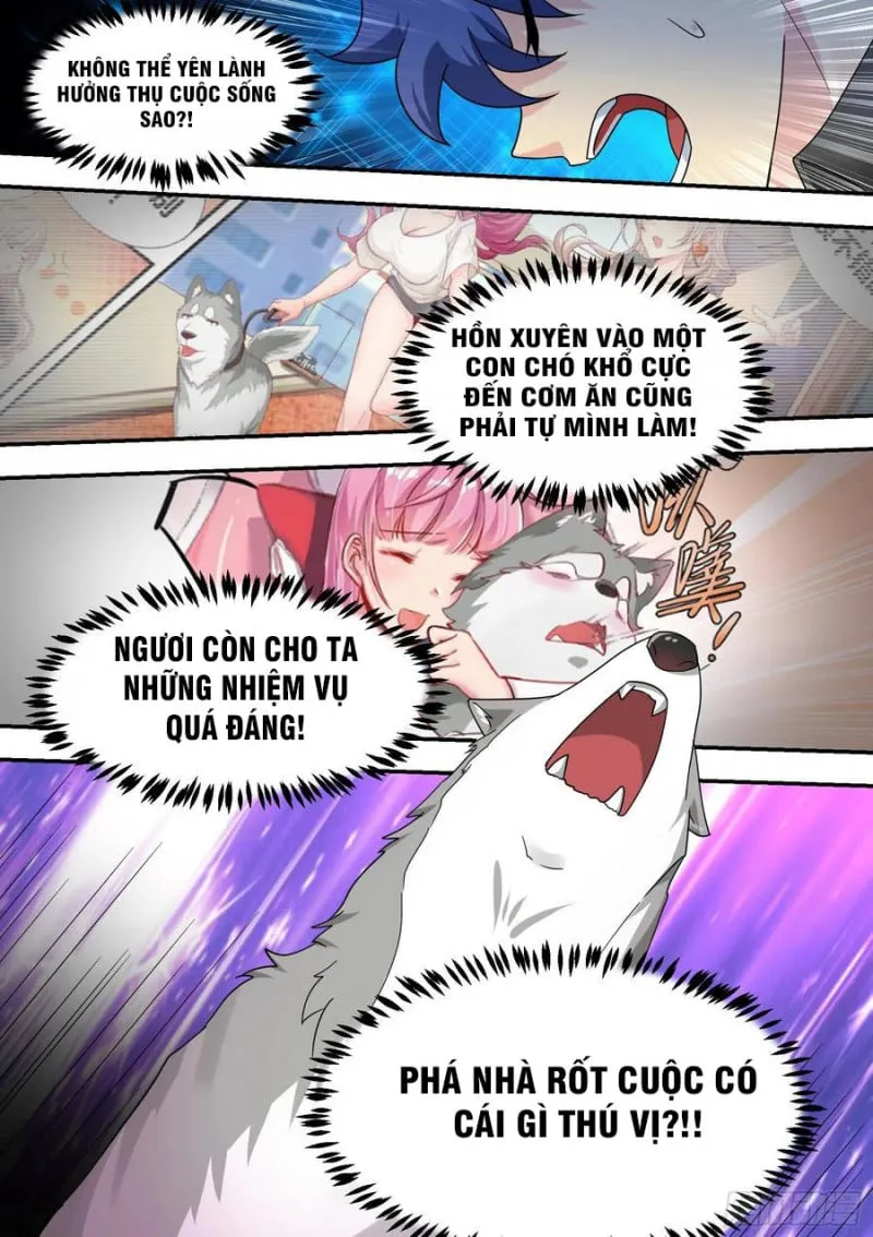 Husky Toàn Năng Của Nữ Thần Chapter 22 - Trang 9
