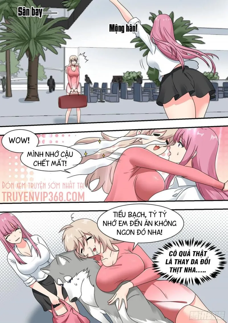 Husky Toàn Năng Của Nữ Thần Chapter 23 - Trang 17