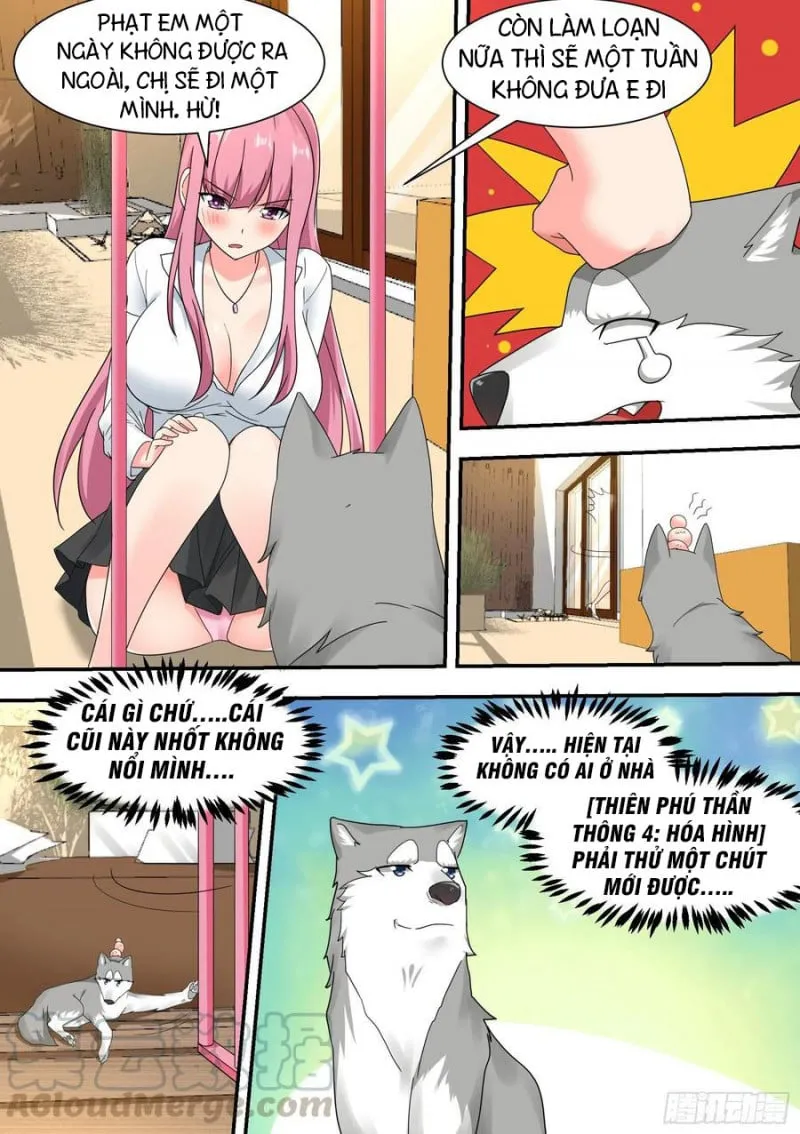 Husky Toàn Năng Của Nữ Thần Chapter 23 - Trang 4