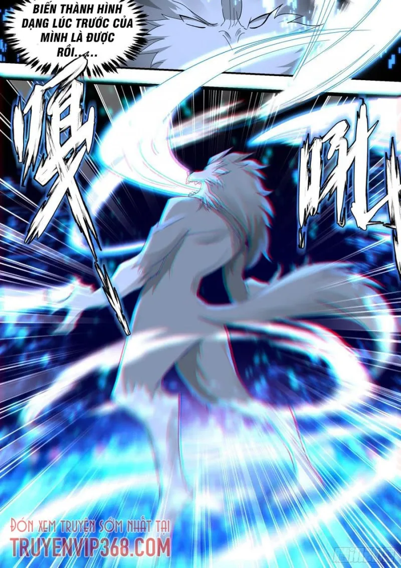 Husky Toàn Năng Của Nữ Thần Chapter 23 - Trang 5