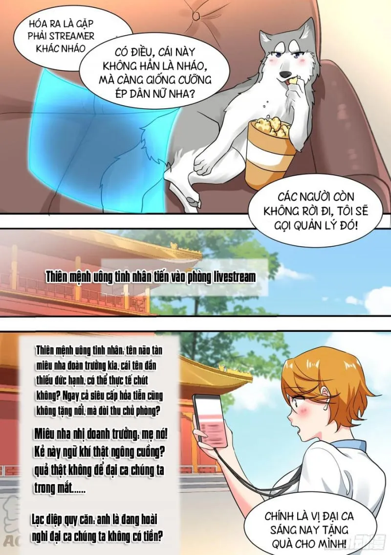 Husky Toàn Năng Của Nữ Thần Chapter 27 - Trang 12