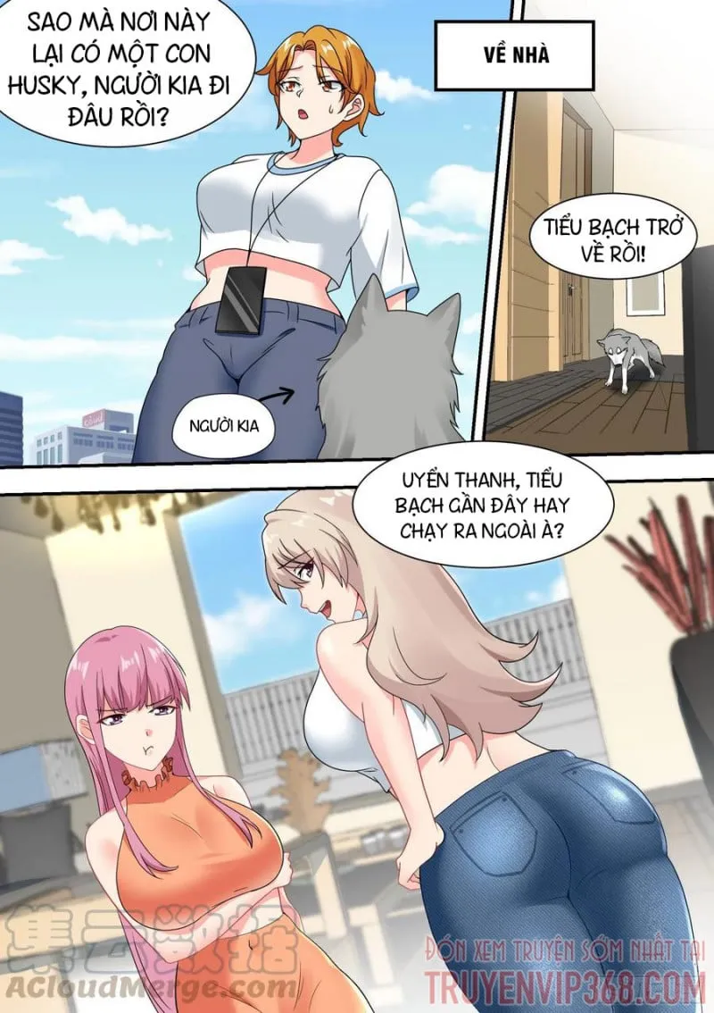 Husky Toàn Năng Của Nữ Thần Chapter 27 - Trang 4