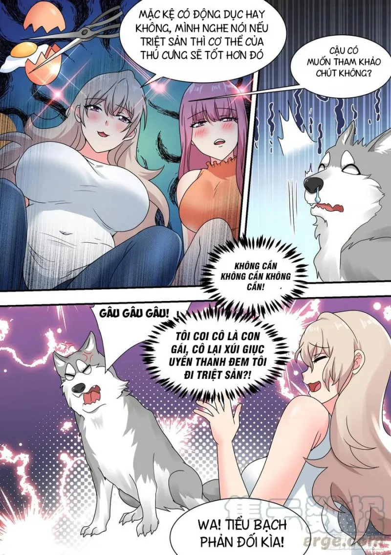 Husky Toàn Năng Của Nữ Thần Chapter 27 - Trang 6