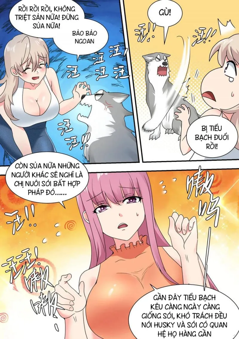 Husky Toàn Năng Của Nữ Thần Chapter 27 - Trang 7