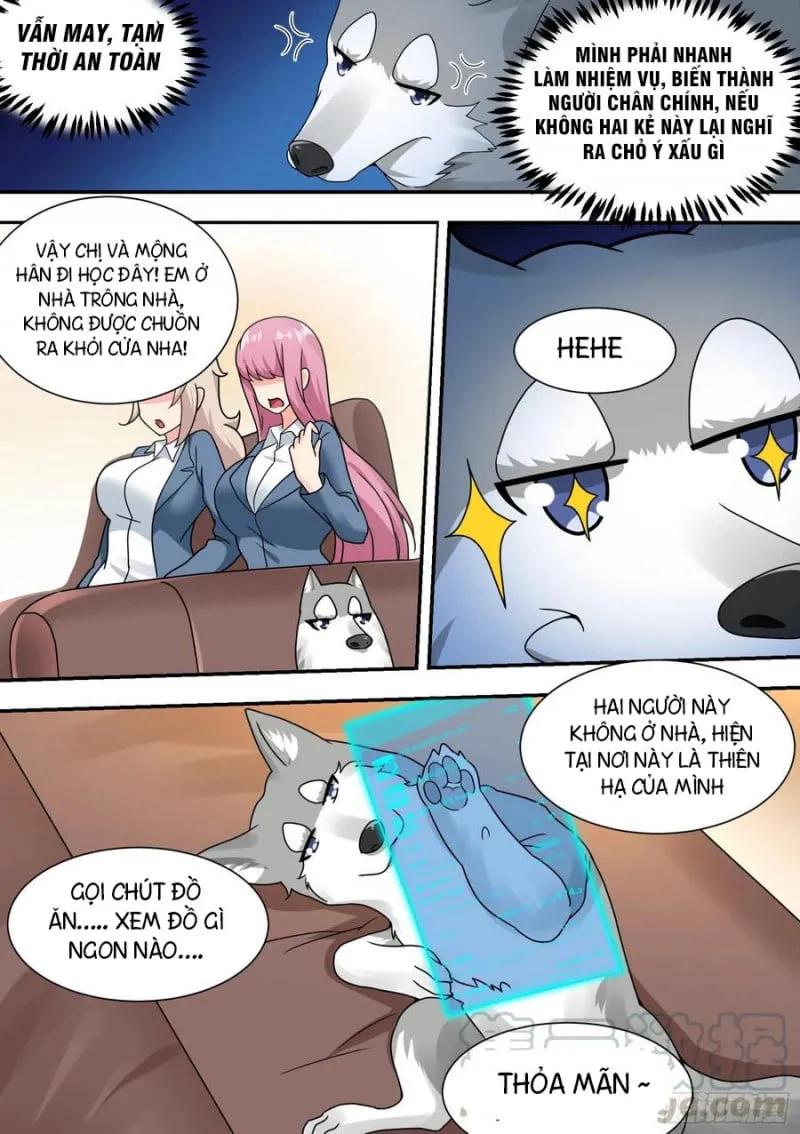 Husky Toàn Năng Của Nữ Thần Chapter 27 - Trang 8