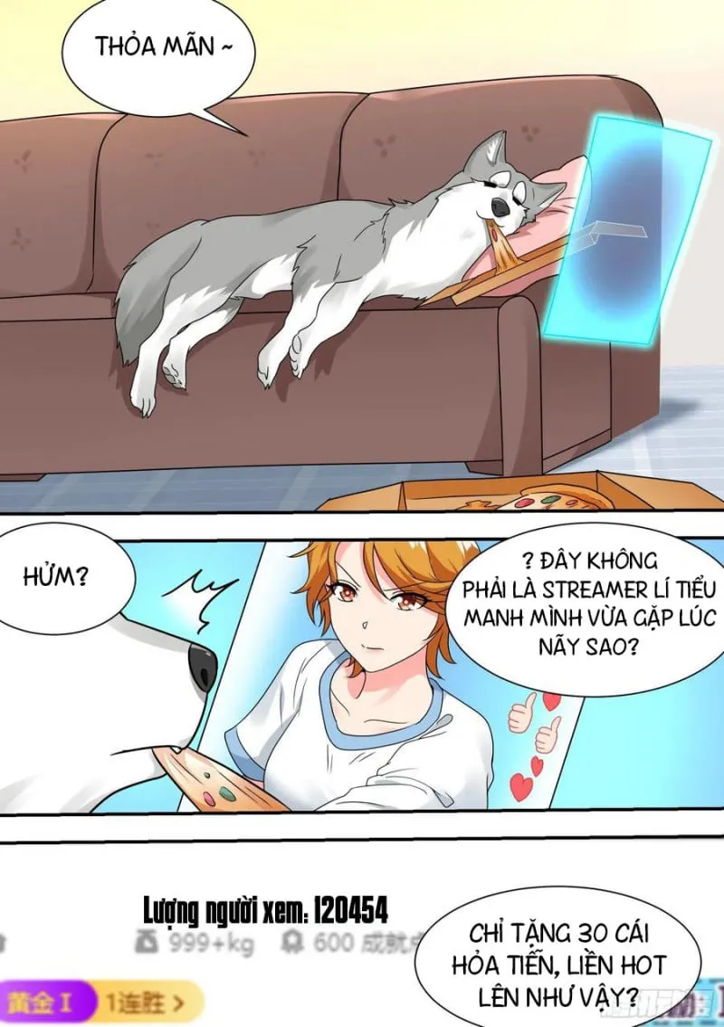Husky Toàn Năng Của Nữ Thần Chapter 27 - Trang 9