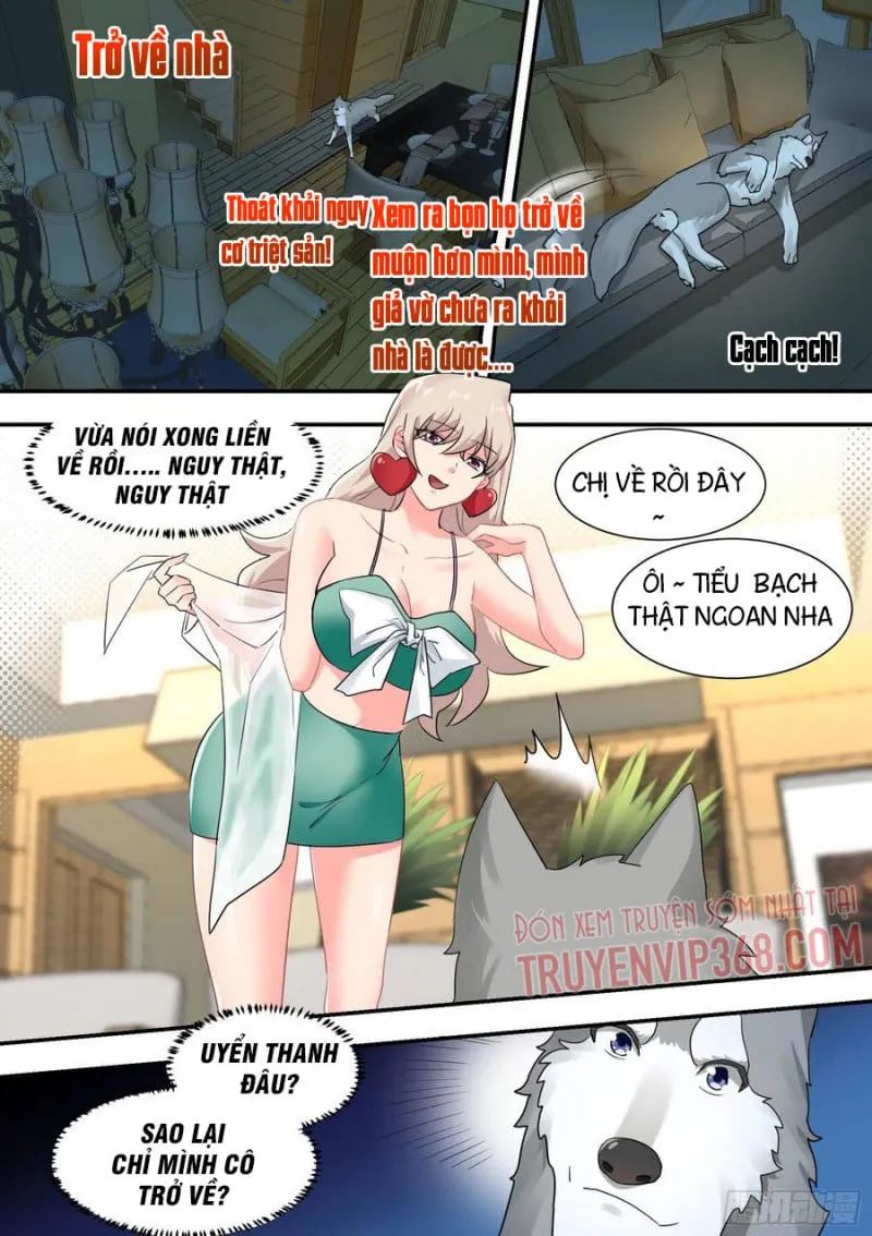 Husky Toàn Năng Của Nữ Thần Chapter 29 - Trang 17
