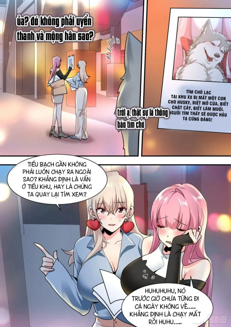 Husky Toàn Năng Của Nữ Thần Chapter 29 - Trang 4