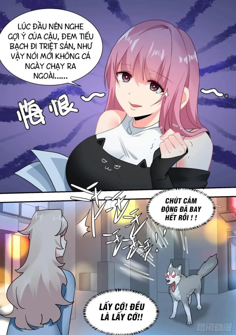 Husky Toàn Năng Của Nữ Thần Chapter 29 - Trang 5