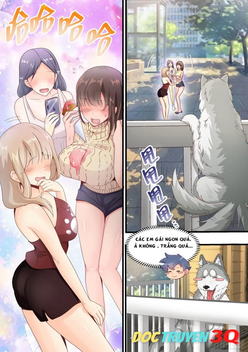 Husky Toàn Năng Của Nữ Thần Chapter 3 - Trang 3