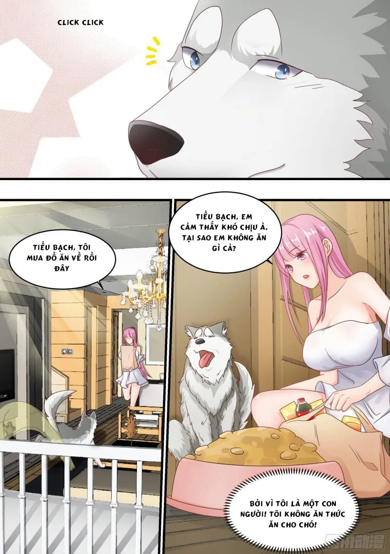 Husky Toàn Năng Của Nữ Thần Chapter 3 - Trang 4