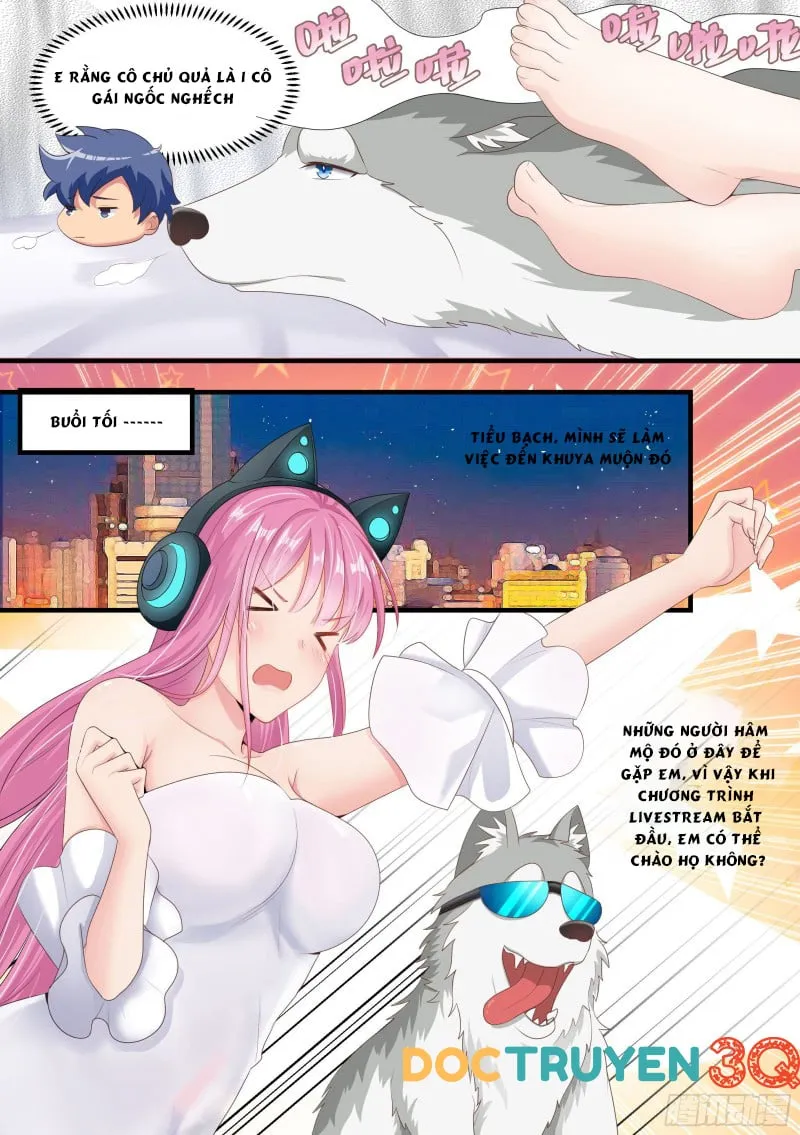 Husky Toàn Năng Của Nữ Thần Chapter 3 - Trang 8