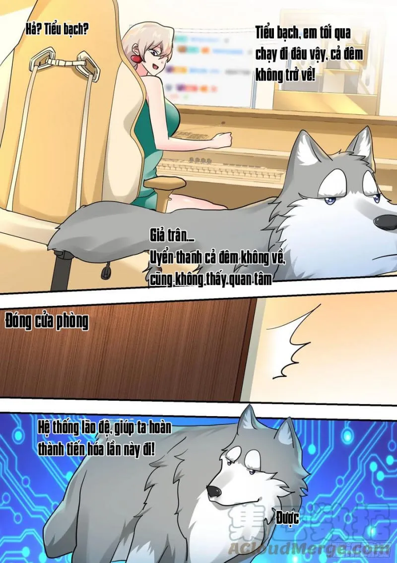 Husky Toàn Năng Của Nữ Thần Chapter 32 - Trang 12
