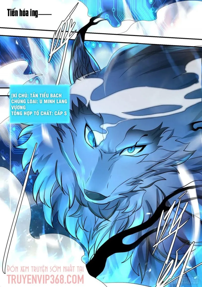 Husky Toàn Năng Của Nữ Thần Chapter 32 - Trang 13