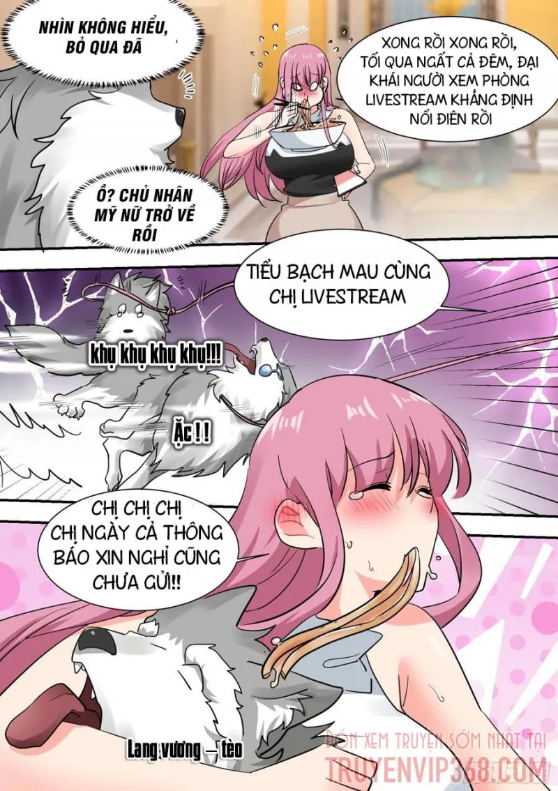Husky Toàn Năng Của Nữ Thần Chapter 32 - Trang 19