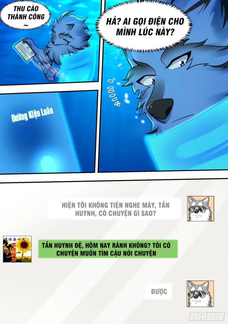 Husky Toàn Năng Của Nữ Thần Chapter 33 - Trang 11