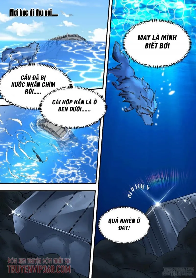 Husky Toàn Năng Của Nữ Thần Chapter 33 - Trang 9