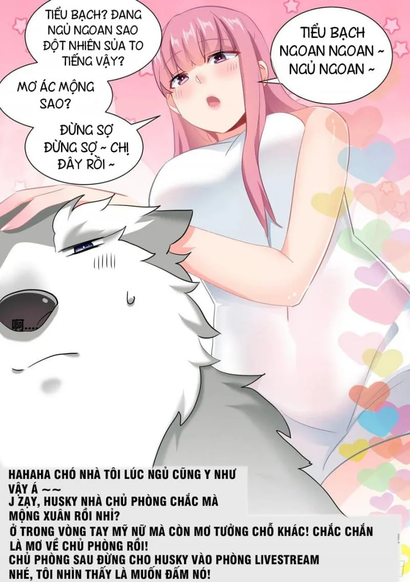 Husky Toàn Năng Của Nữ Thần Chapter 35 - Trang 10